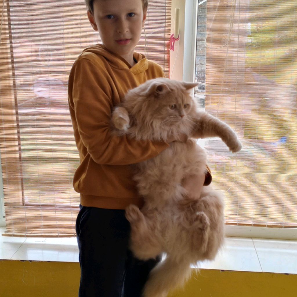 Аватар автора