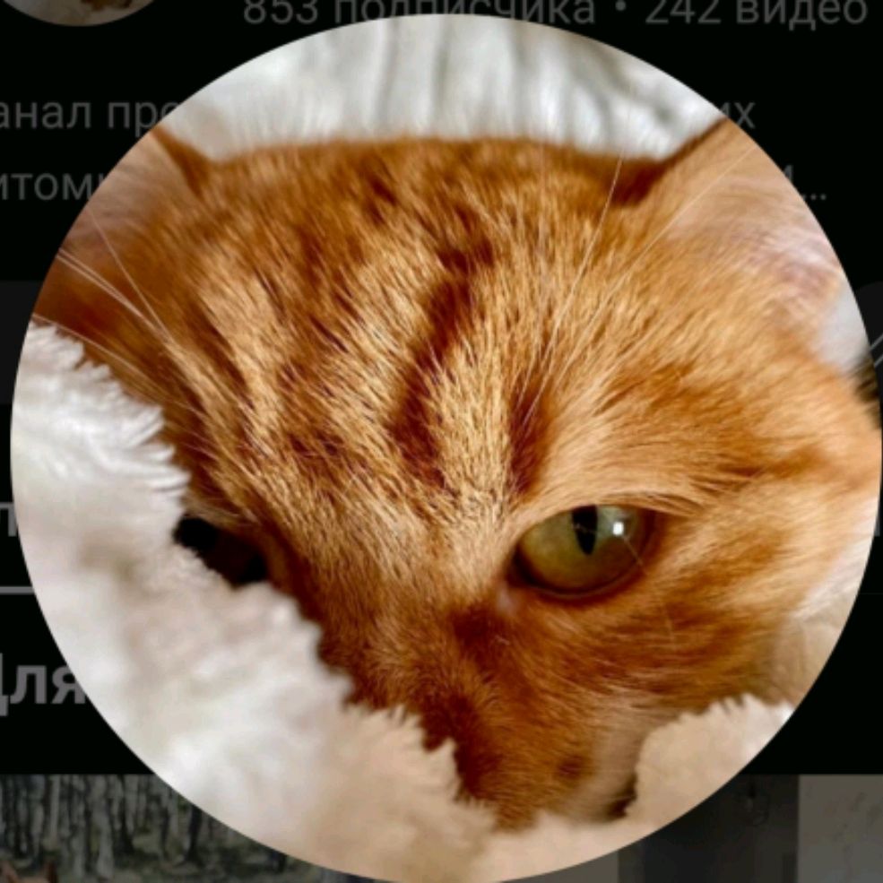 Аватар автора