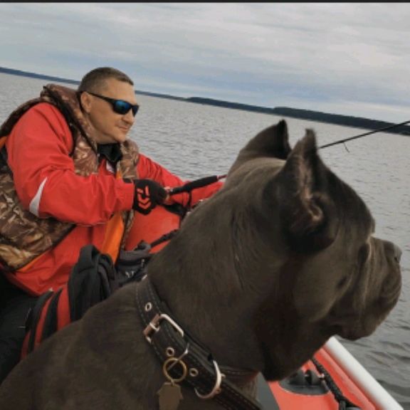 Аватар автора