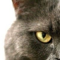 Иконка канала Михайло Бергманн