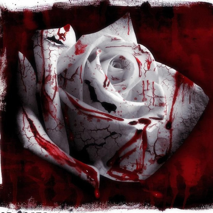 Иконка канала RivBS