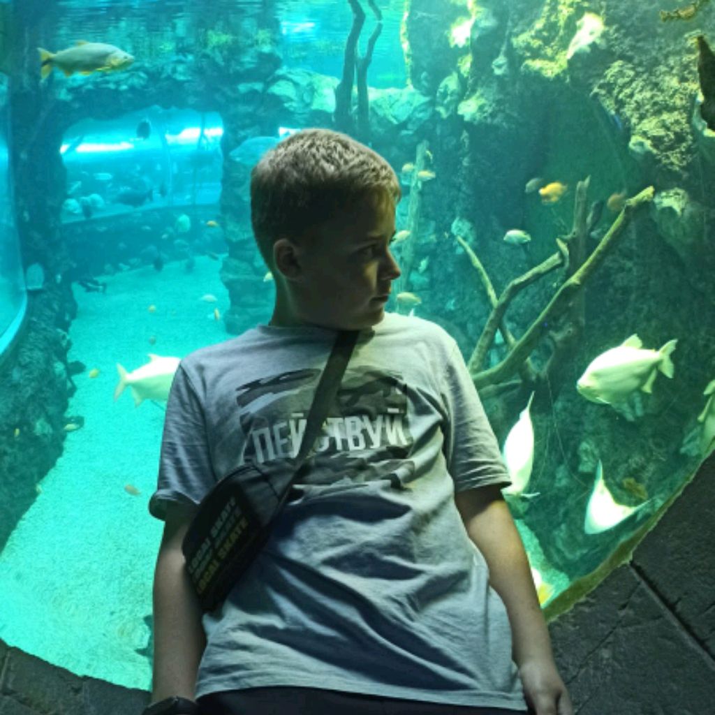 Аватар автора