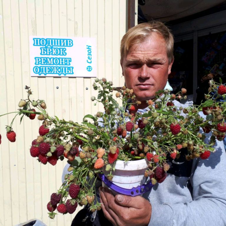 Аватар автора