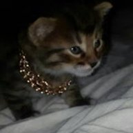 Иконка канала Анатолий Иванюк