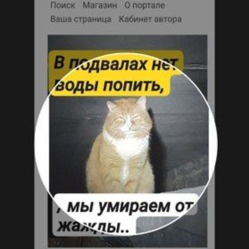 Аватар автора