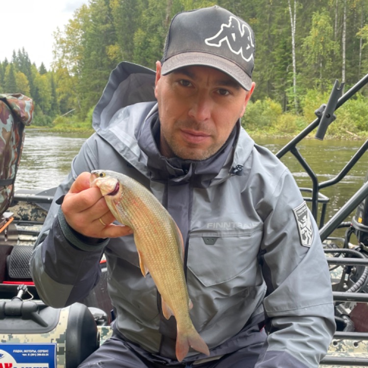 Аватар автора