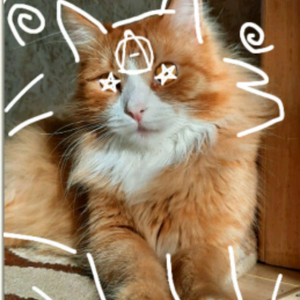 Аватар автора