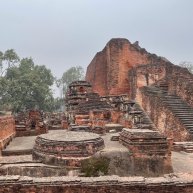 Иконка канала Дхарма-семинары | Dharma Webinars