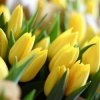 Иконка канала СОВЕТ ДЕПУТАТОВ МО МОЖАЙСКИЙ