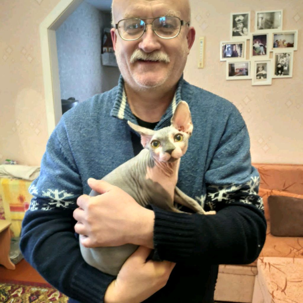 Иконка канала Вячеслав Ларин