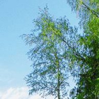 Иконка канала Красивые видео в высоком качестве!