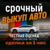 Иконка канала Выкуп / продажа авто