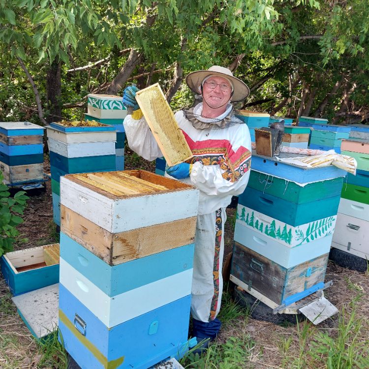 Аватар автора