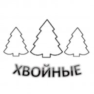 Иконка канала Хвойные 🌲