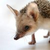 Иконка канала E}l{uK