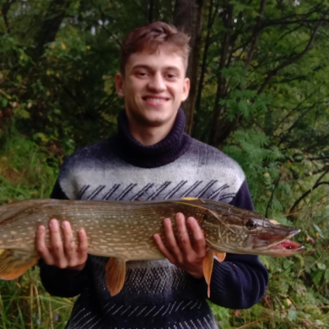 Аватар автора