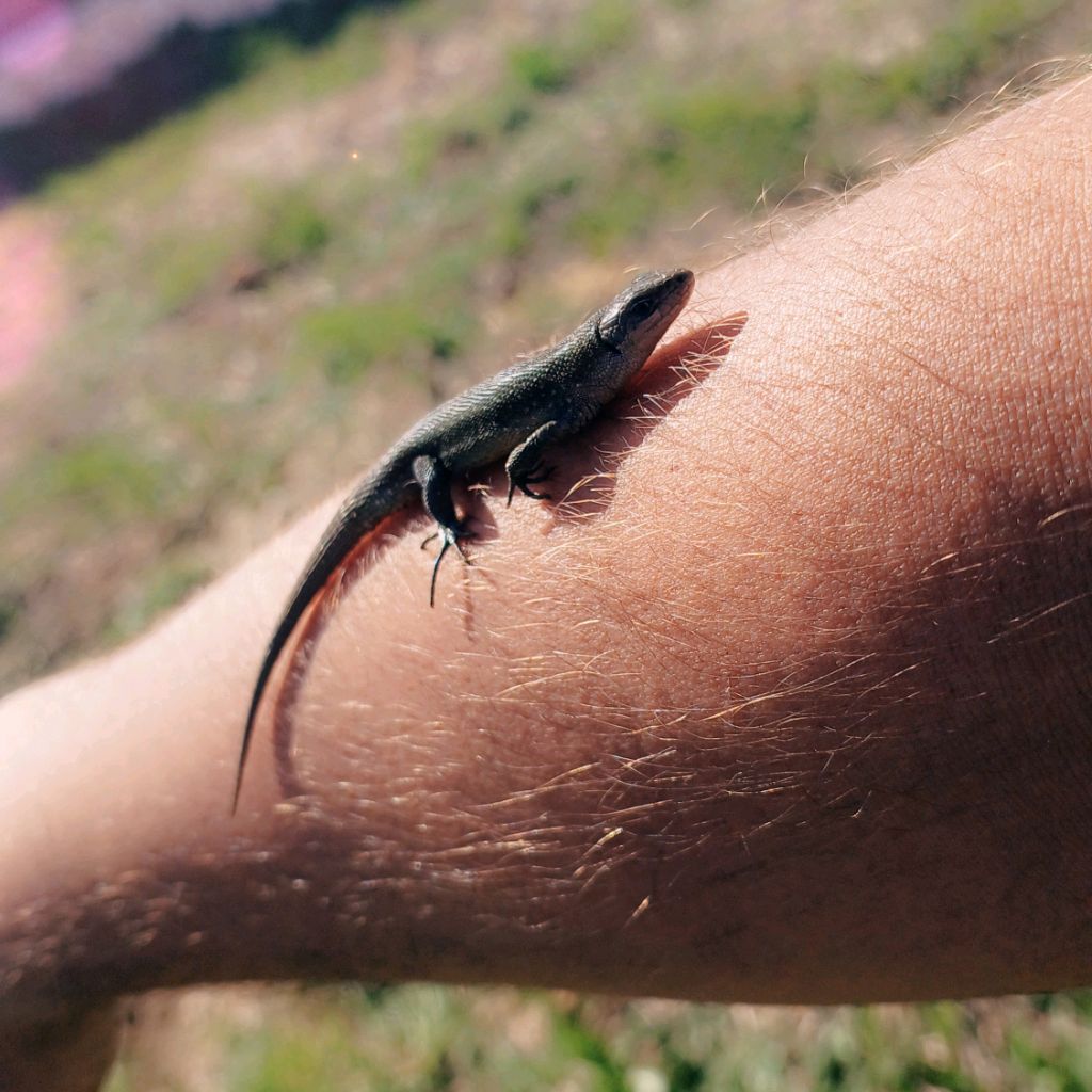 Иконка канала Дмитрий 5292