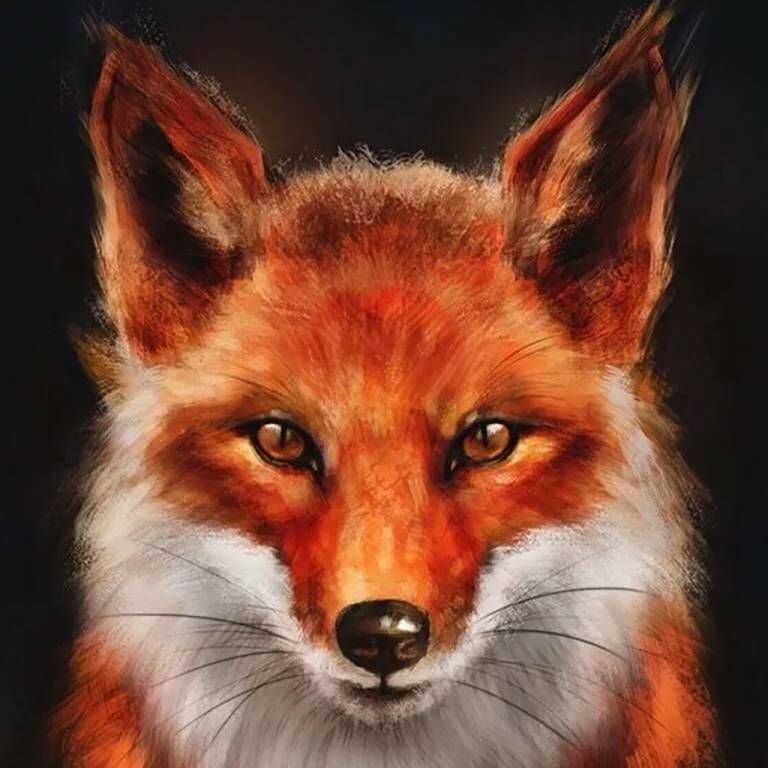 Иконка канала RED FOX CHANNEL