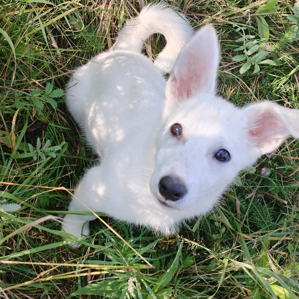 Иконка канала Бакс и Ольга