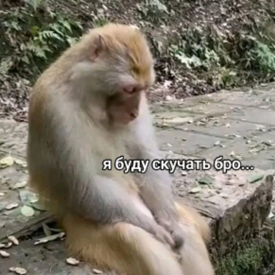 Иконка канала bbryannn1196