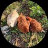 Иконка канала Своё хозяйство
