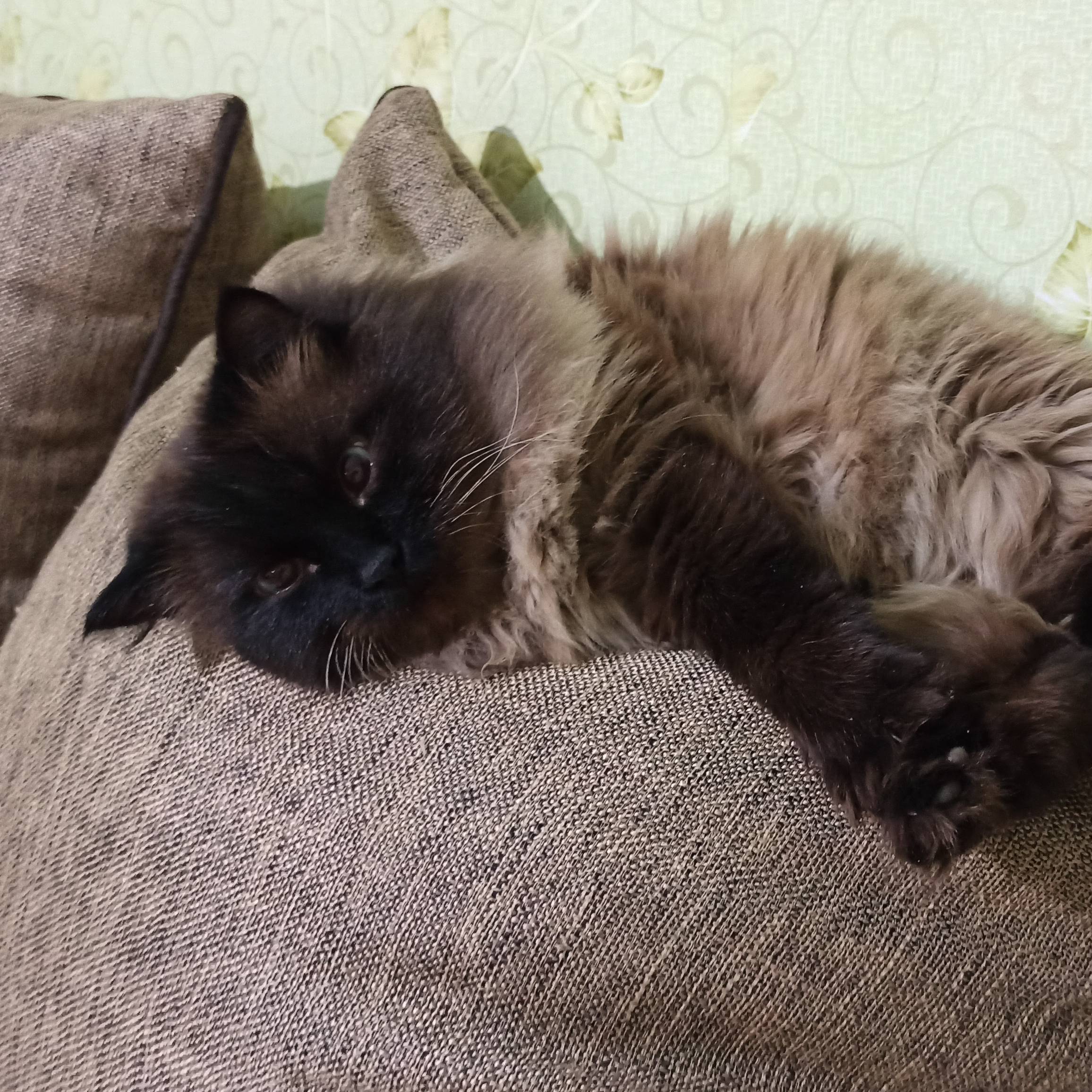 Аватар автора