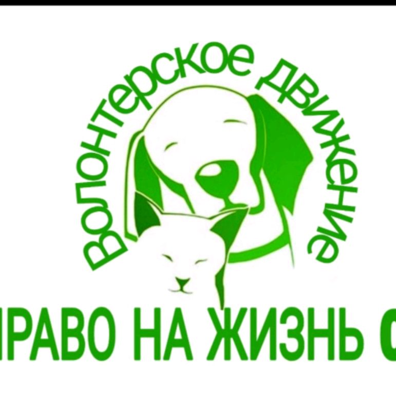 Иконка канала Право на жизнь 03