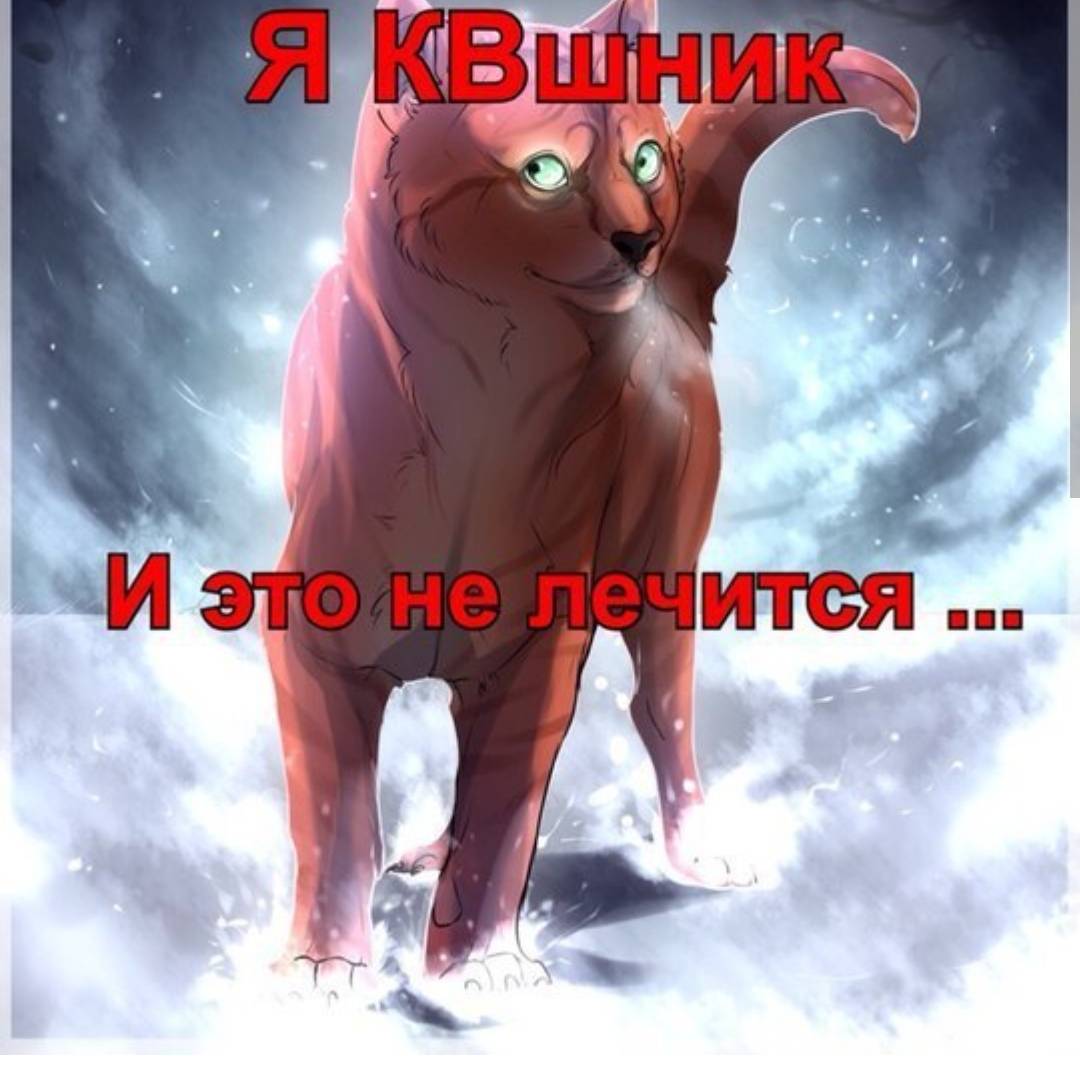 Я КВшнив