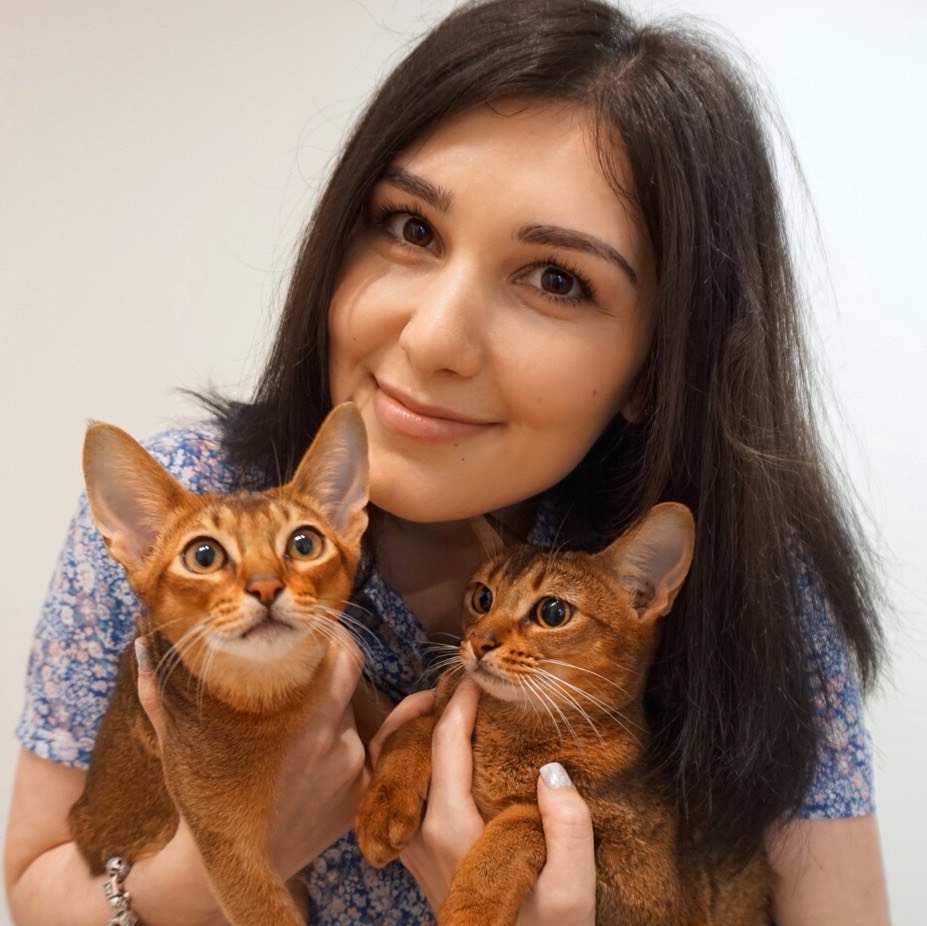 Аватар автора