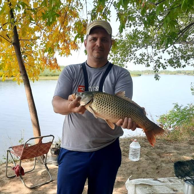 Аватар автора