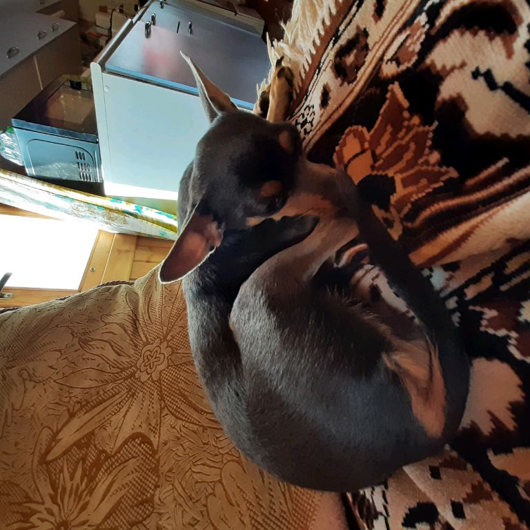 Аватар автора