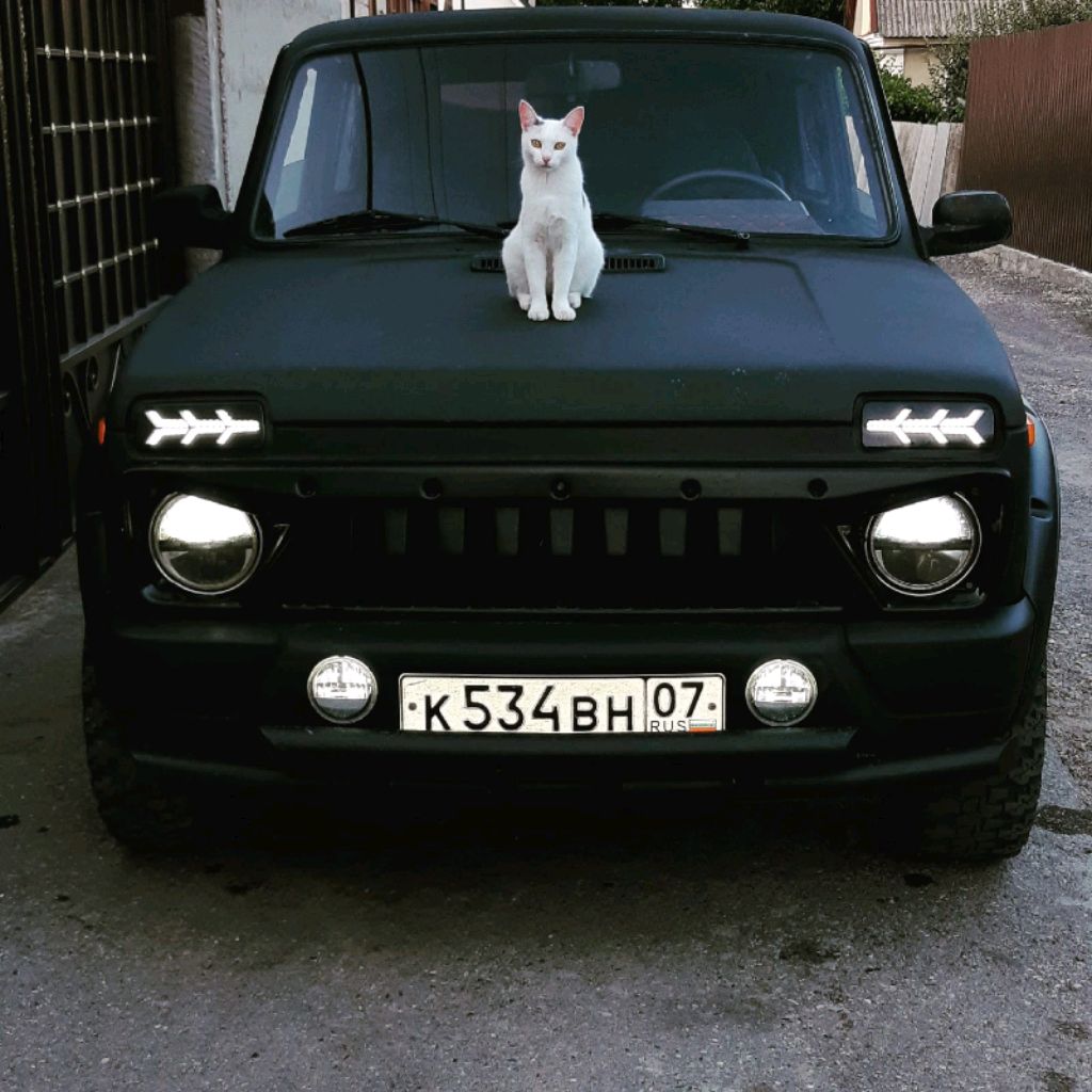 Аватар автора