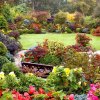 Иконка канала Garden GURU