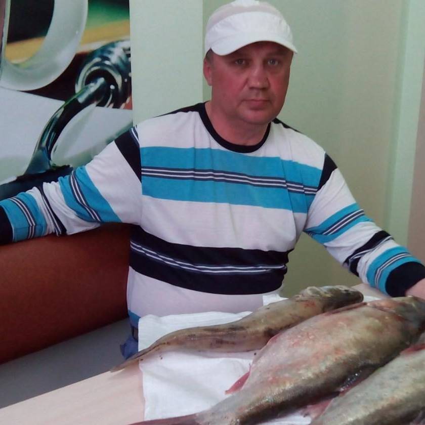 Аватар автора