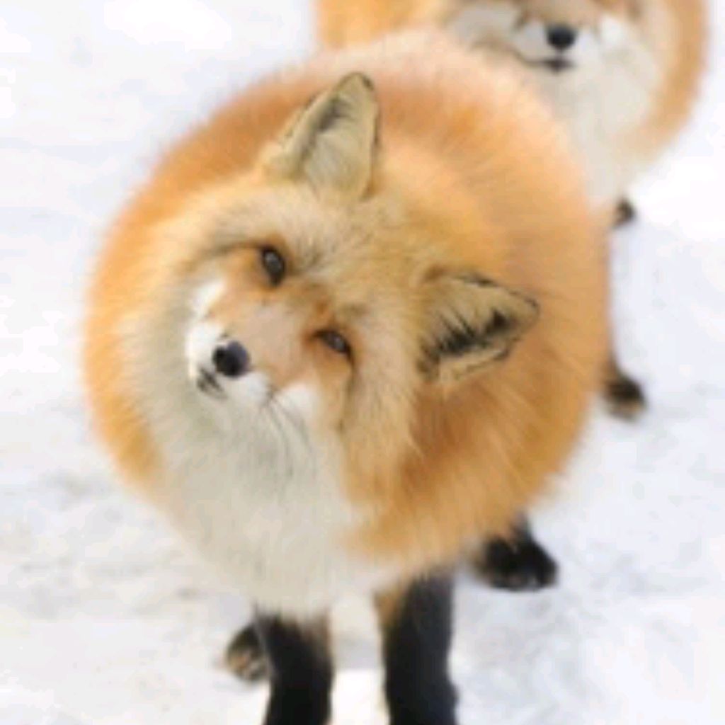 Иконка канала M_S93