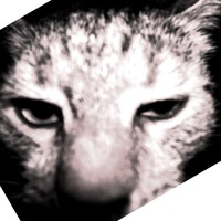 Иконка канала Renatali Akhmetzyanovi