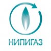 Иконка канала НИПИГАЗ
