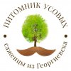 Иконка канала Питомник Усовых