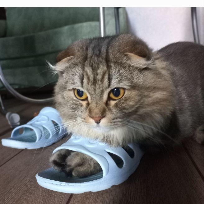 Аватар автора