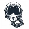 Иконка канала TOP GUN
