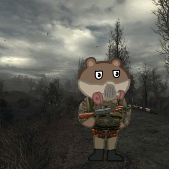 Аватар автора