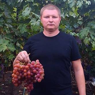 Аватар автора