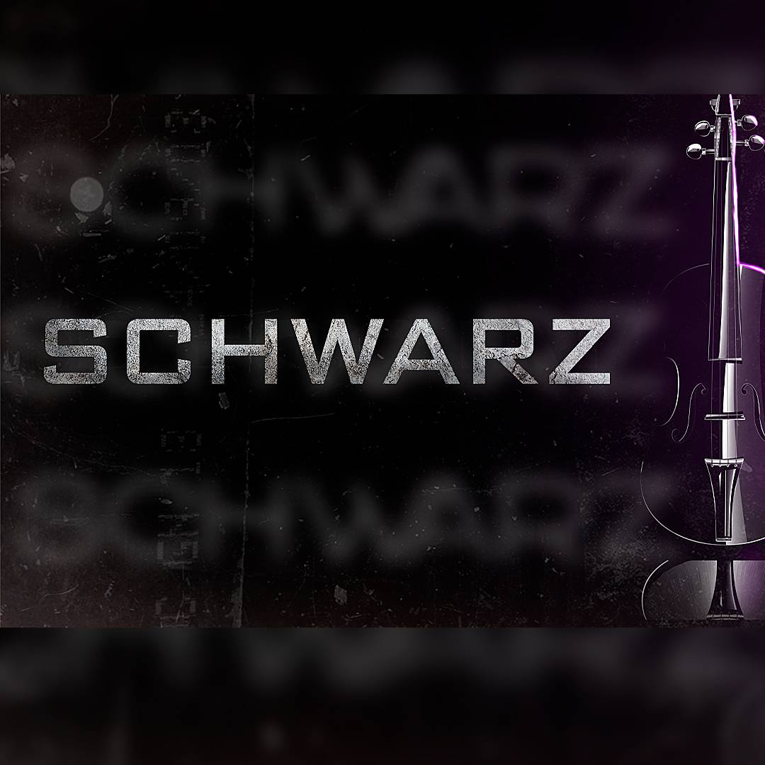 Иконка канала Schwarz