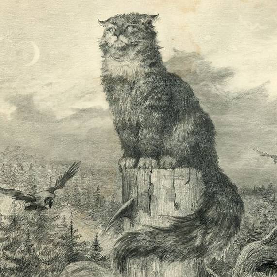 Аватар автора