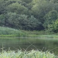 Иконка канала Baitcasting_fisher