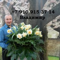 Иконка канала Владимир Петрович Я. +79109153714