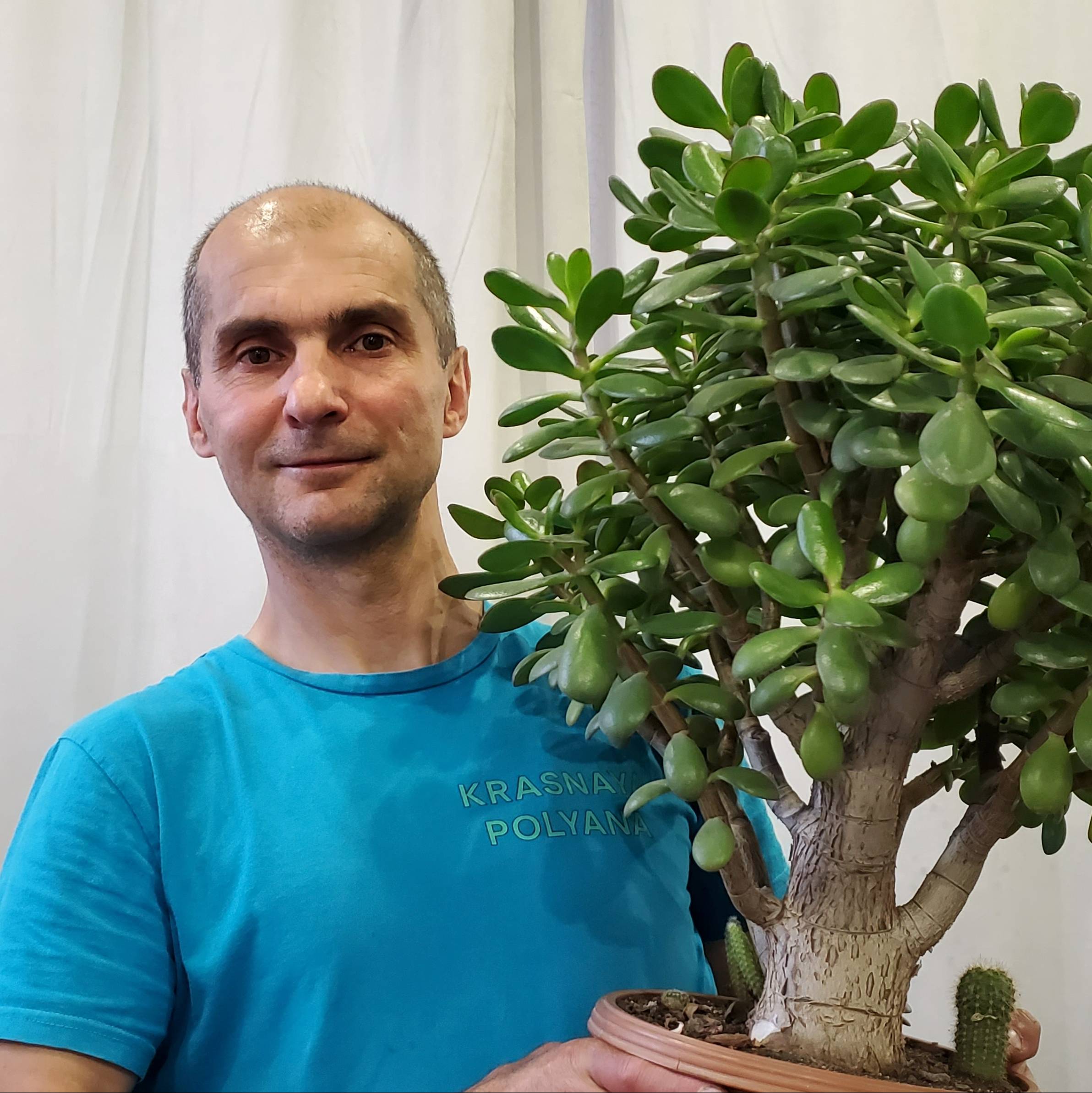 Аватар автора