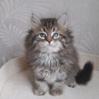 Иконка канала Baraj*RU