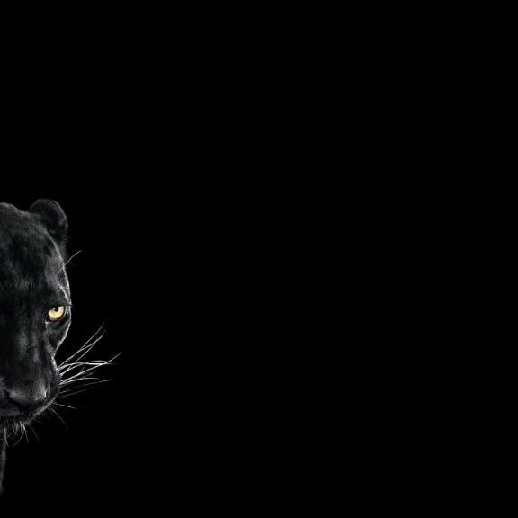 Иконка канала TwentyOne