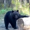 Иконка канала Safari-uhta